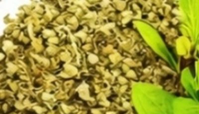 Oregano: Nature’s Most Powerful Herb and Its Health Benefits