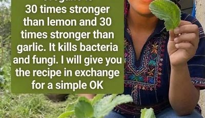 Oregano Tea and Its Potential Benefits: Separating Facts from Fiction